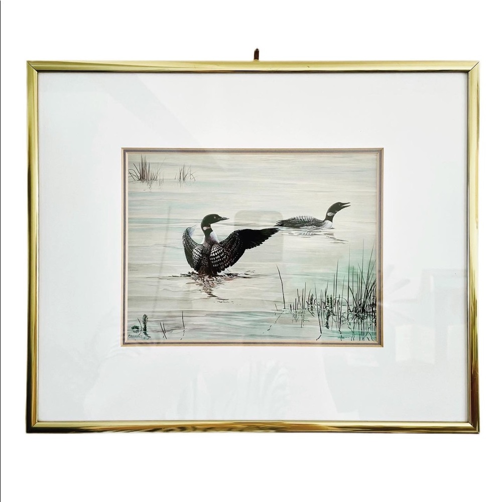Limited Edition framed wildlife art